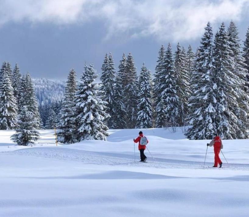 Gite Au Coeur Du Jura Entre Comte Et Vin Jaune, Gite Vin Jaune Chamole Exterior foto